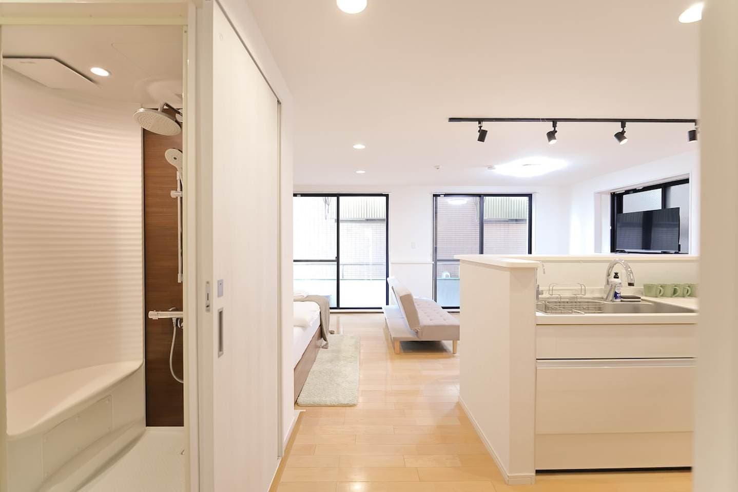 Open-plan studio apartment featuring a kitchen counter, living area with sofa, and bathroom entrance.